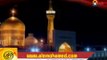 [18 Safar Shahdat] Imam Raza Imam Raza - Ali Safdar Nohay - HadiTV HD