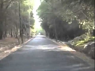 ARRESTIMI I INSPEKTOREVE DY INSPEKTORE TE NDERTIMIT FALSIFIKUAN DOKUMENTA LAJM