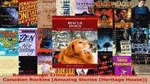 PDF Download  Rescue Dogs Crime and Rescue Canines in the Canadian Rockies Amazing Stories Heritage Download Online