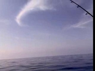 Vertical Jigging Otello FFT Spatola