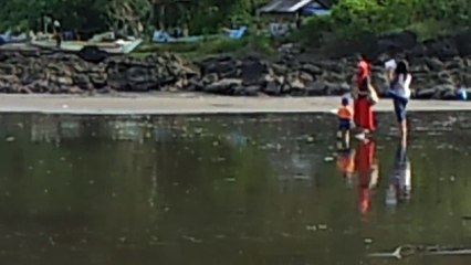 Pantai Grajagan-Banyuwangi, Tempat Wisata Keluarga dan Lokasi Surfing Bagi Surfer Profesional