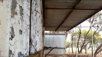 Relaxing Sounds of Rain on a Hot Tin Roof