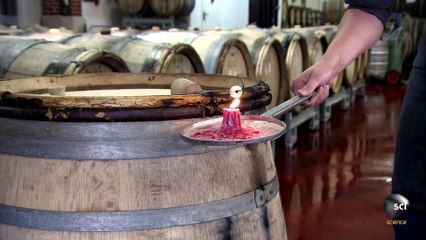 How It's Made - Champagne (HD)