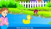 Five Little Ducks Nursery Rhymes For Kids | Best Children Nursery Rhymes | Five Little Duc