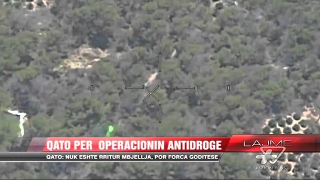 Operacioni kundër kanabisit - News, Lajme - Vizion Plus