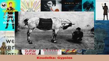 PDF Download  Koudelka Gypsies PDF Online