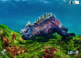 Frame Relay WAN Configuration