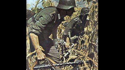 Waffen-SS in Russia - 175 Images from the Eastern Front