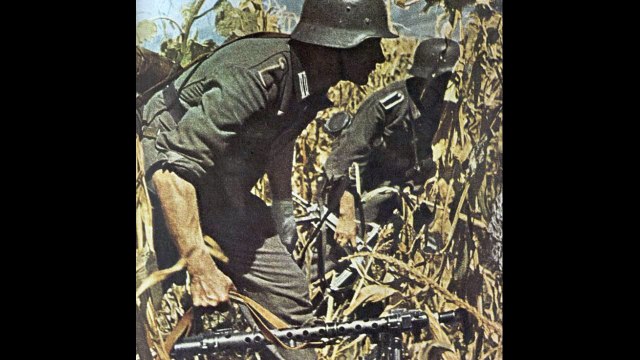 Waffen-SS in Russia - 175 Images from the Eastern Front