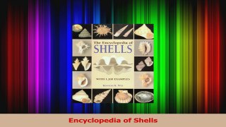 PDF Download  Encyclopedia of Shells PDF Online