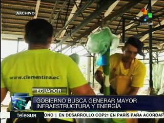 Déficit comercial en Ecuador causa apertura a inversionistas privados