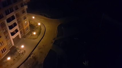 Jouer avec des chiens avec un laser depuis un immeuble