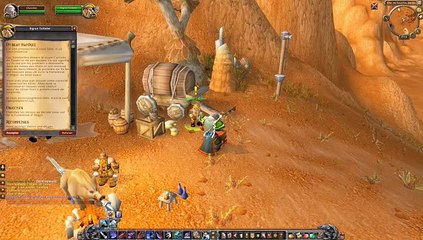 warcraft  (   du  beau  matériel   )  524