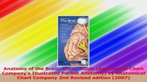 Anatomy of the Brain Study Guide Anatomical Chart Companys Illustrated Pocket Anatomy Download