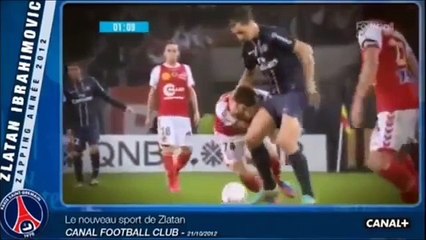Zlatan Ibrahimovic ---- Funny Moment in PSG