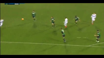 Borja Valero Goal - Sassuolo 0-1 Fiorentina - 30-11-2015