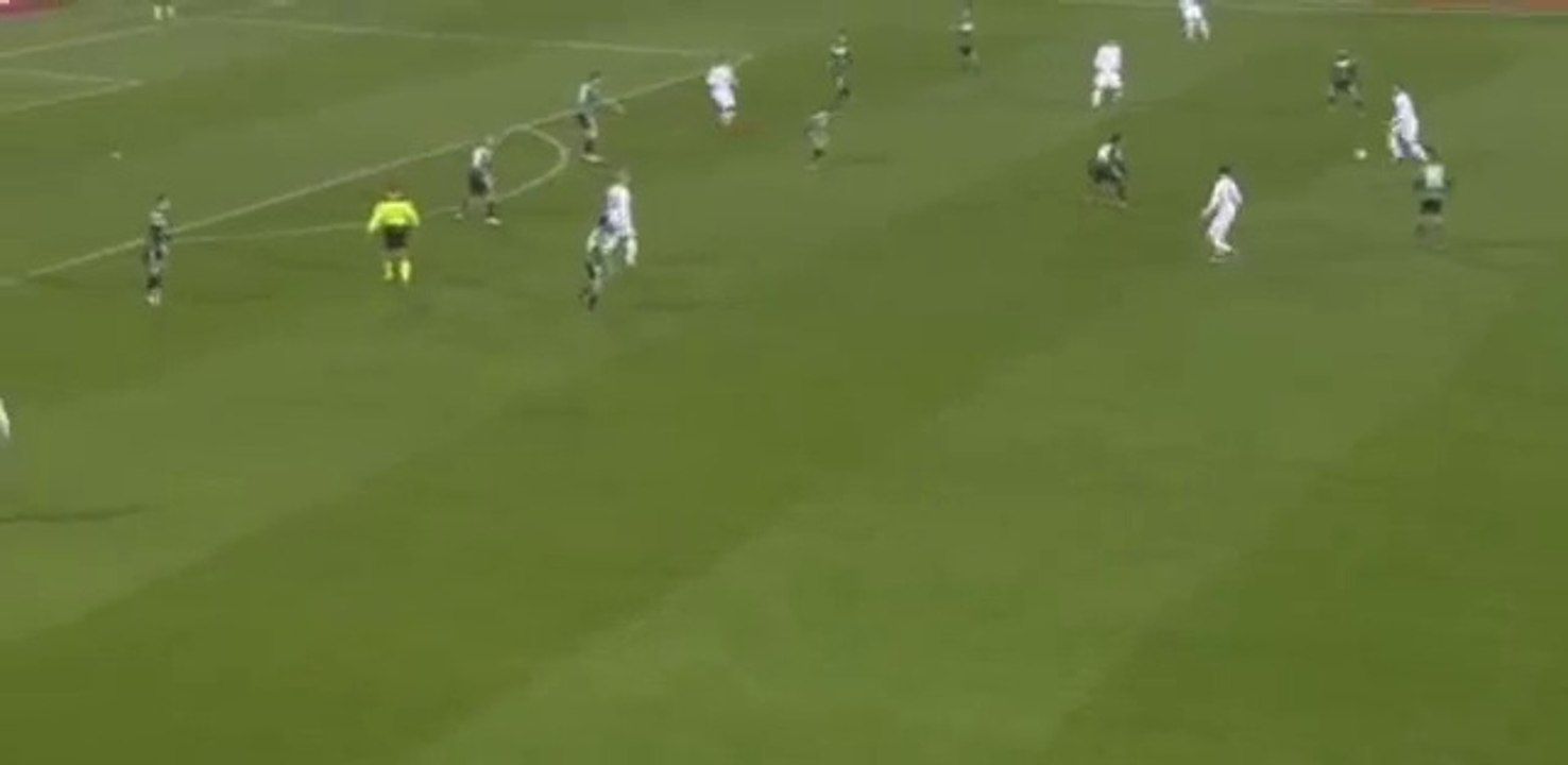 Borja Valero Goal - Sassuolo vs Fiorentina 0-1 ( Serie A ) 2015 HD