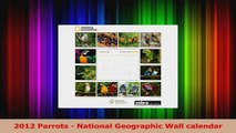 PDF Download  2012 Parrots  National Geographic Wall calendar Download Online