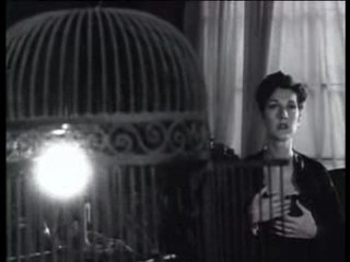 Je cherche l'ombre extrait d'Elles