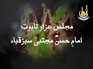 AsadAgha-27 safar Taboot e Imam Hasan a.s mein shirkat karen 2015