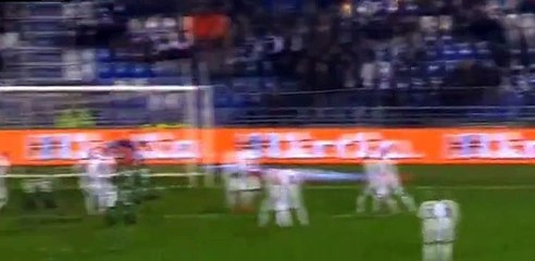 Sergio Floccari Goal - Sassuolo 1-1 Fiorentina - 30/11/2015