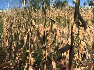 RRITJA E TEMPERATURAVE NDRYSHIMET KLIMATERIKE SHKAKTOJNE KRIZE USHQIMORE LAJM