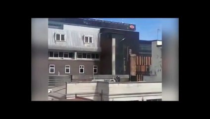 Watch huge seagulls dive bombing workman as onlookers chuckle in the background