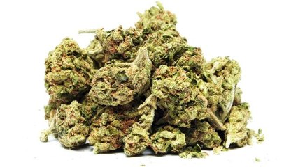 Couple unexpectedly receives 7 pounds of weed in the mail