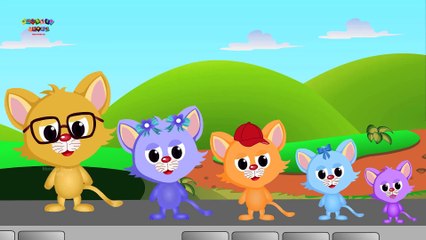 The Finger Family Cat Family Nursery Rhyme   Finger Family