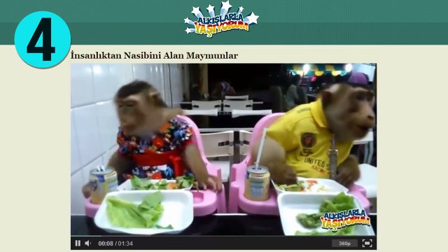 Gözlerden Yaş Getiren 19 Alkışlarla Yaşıyorum Video Altı Yorumu