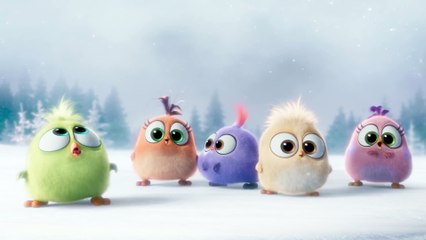 The Angry Birds Movie 2016 Film Viral Video Season's Greetings From The Hatchlings