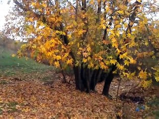YILDIZ KÖYÜ-biraz gezelim-SONBAHARIN SON GÜNLERİ