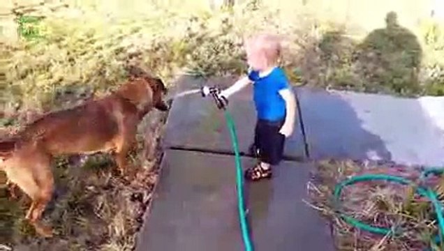 Dogs and Babies Playing with Hoses Compilation 2015 [NEW HD]