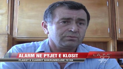 Zjarr në malin e Balgjajt - News, Lajme - Vizion Plus