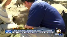 Nola dies at San Diego Zoo Safari Park