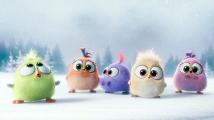 The Angry Birds Movie - Season's Greetings from the Hatchlings!