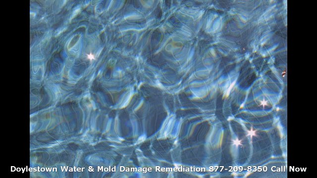 (570) 416-2258 Doylestown Water Damage Restoration & Mold Remediation