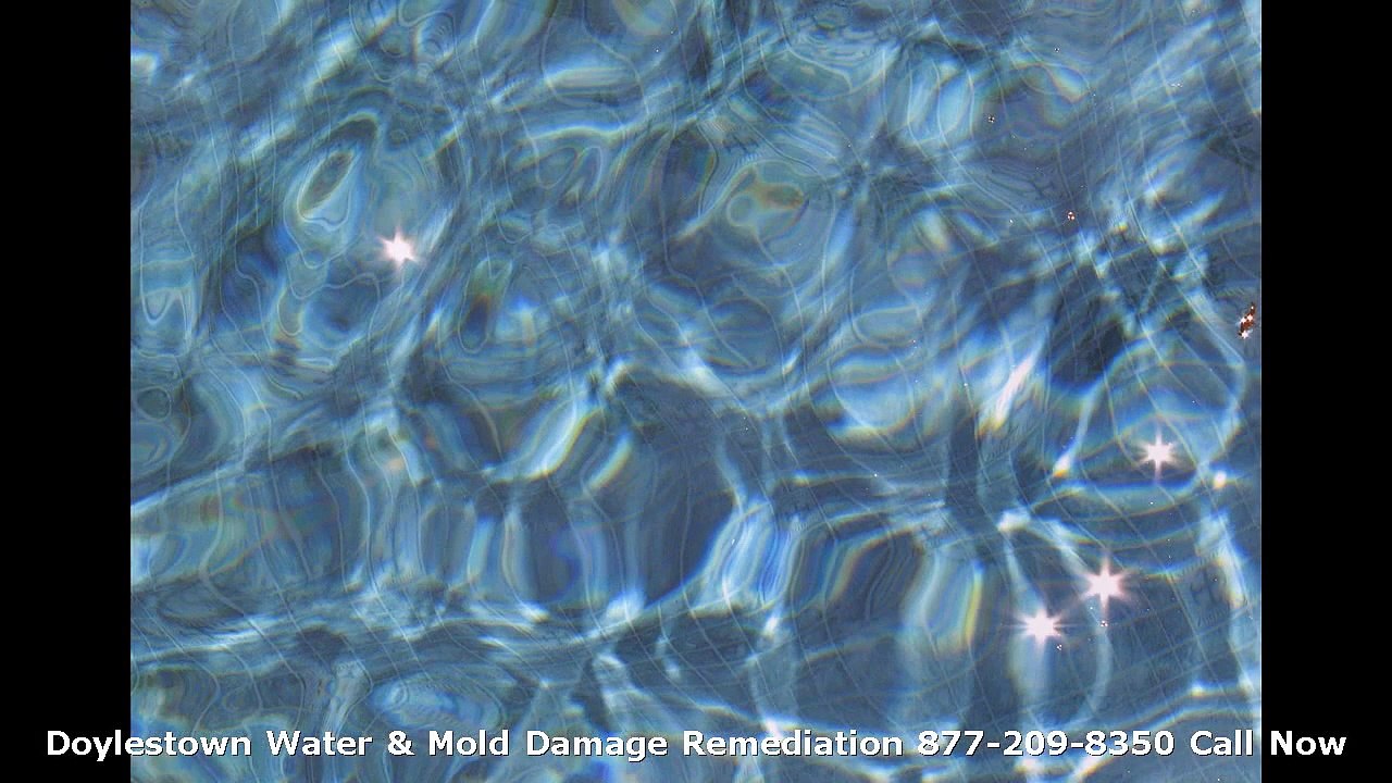 (570) 416-2258 Doylestown Water Damage Restoration & Mold Remediation