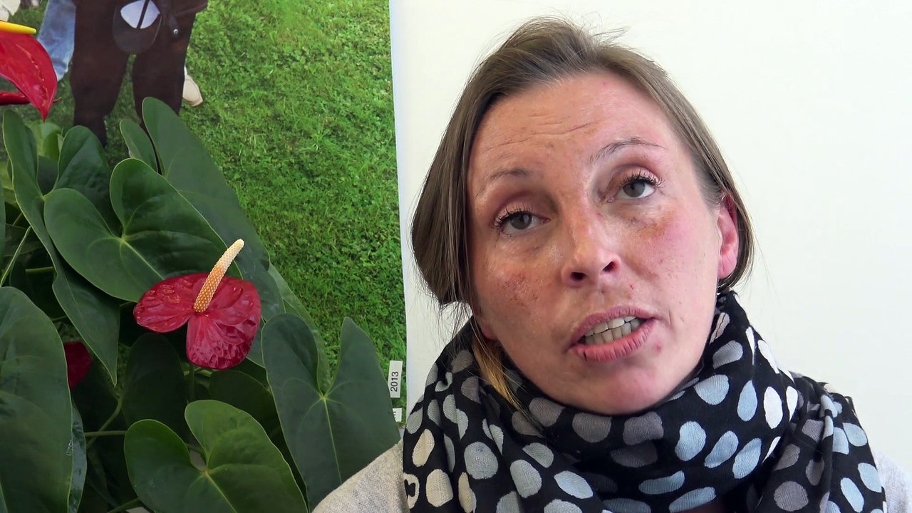 BRISONS LE SILENCE - MENAGE SERVICE AMIENS