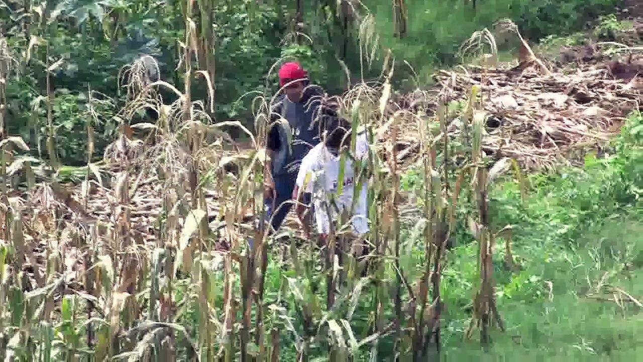 Diputados locales del PRI buscaran mas apoyo para el campo durante la temporada invernal.