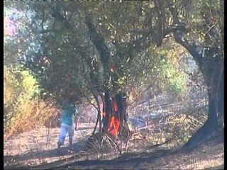 ZJARRE KUDO FLAKET MBERRIJNE EDHE NE MASIVET PYJORE TE LIBRAZHDIT LAJM