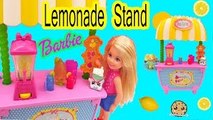 Barbie Little Sister Doll Chelsea Lemonade Stand Playset Toy Unboxing Video Cookieswirlc