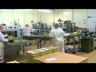 Informalitetit, Bode: Efekte afatgjata negative për biznesin - Top Channel Albania - News - Lajme