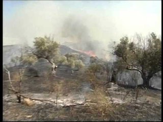 NUK RRESHTIN ZJARRET TEMPERATURAT DHE ERA FAVORIZOJNE FLAKET NE VEND LAJM