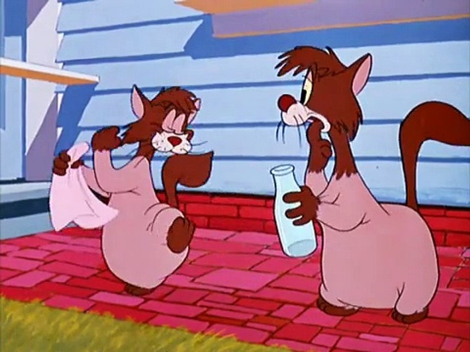 Cartoon -Puss cafe