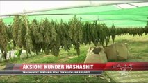 Aksioni kundër hashashit - News, Lajme - Vizion Plus