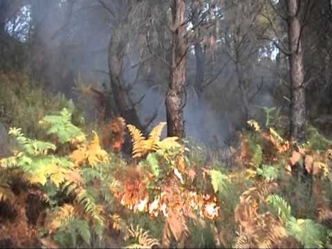 SITUATA E ZJARREVE FLAKET PERPIJNE KULLOTA DHE PYJE NE DIBER DHE KRUJE LAJM