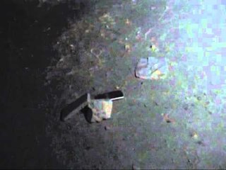 VRASJA NE FIER EKZEKUTIMI I INXHINIERIT,SHKAKU HAKMARRJA LAJM