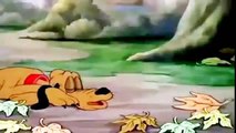 DONALD DUCK CARTOON & CHIP AND DALE CARTOON Mickey Mouse and Pluto New Compilation 2015[HD