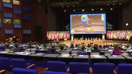 La Syrie assure n'avoir jamais fait usage d'armes chimiques